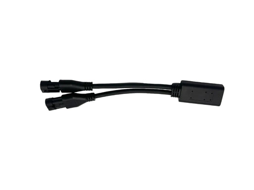 Delphi 2 Channel Tester
